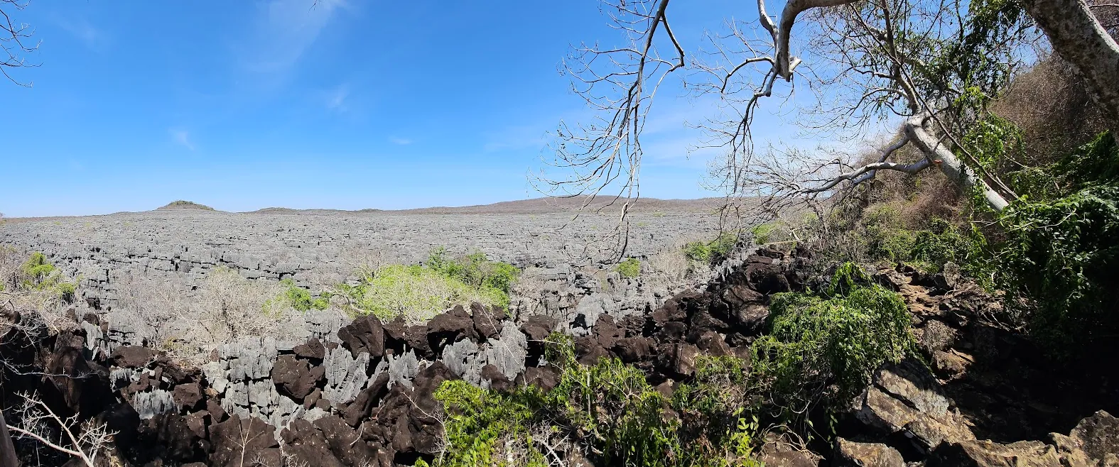 Tsingy d'Ankarana – Foreste calcaree, grotte e lemuri nel Nord del Madagascar